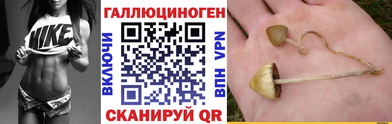 Галлюциногенные грибы мухоморы  Болгар 